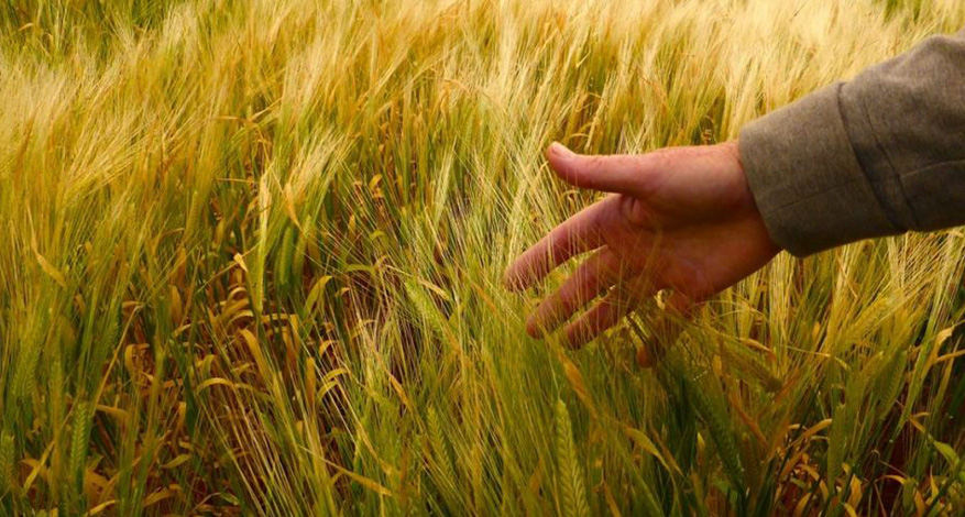 AFCI Australia seeks to help churches become effective evangelists. They do this in wide variety of ways, including offering practical, hands-on advice through their blog.